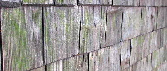 Die Lerchenschindeln der Kohlbauerkapelle brauchen sanfte Pflege, keine Hochdruckstrahler