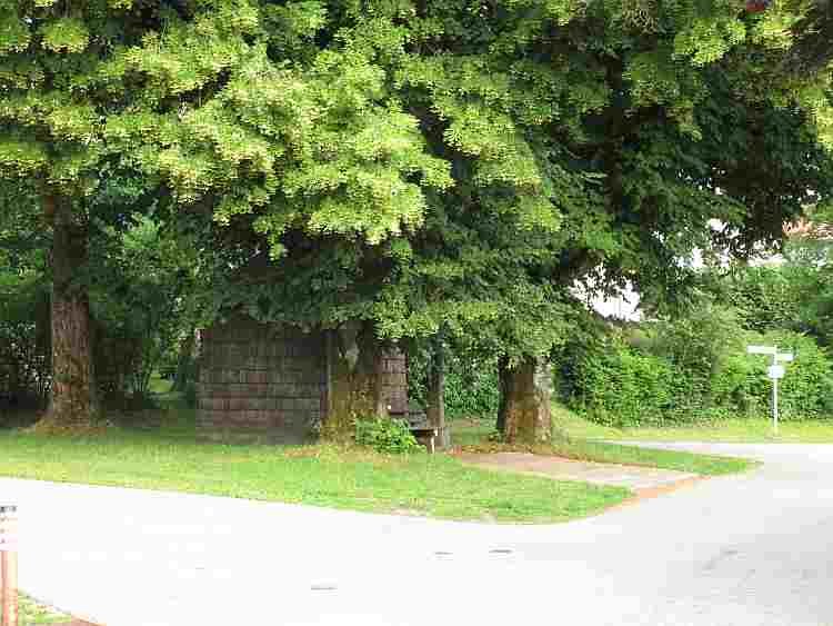 kohlbauerkapelle_linden_bluehte_750-09