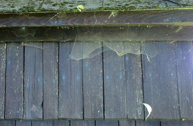 Die Lerchenschindeln der Kohlbauerkapelle brauchen sanfte Pflege, keine Hochdruckstrahler