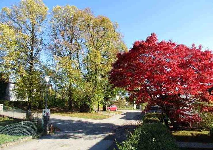 herbst_20171014-02_750