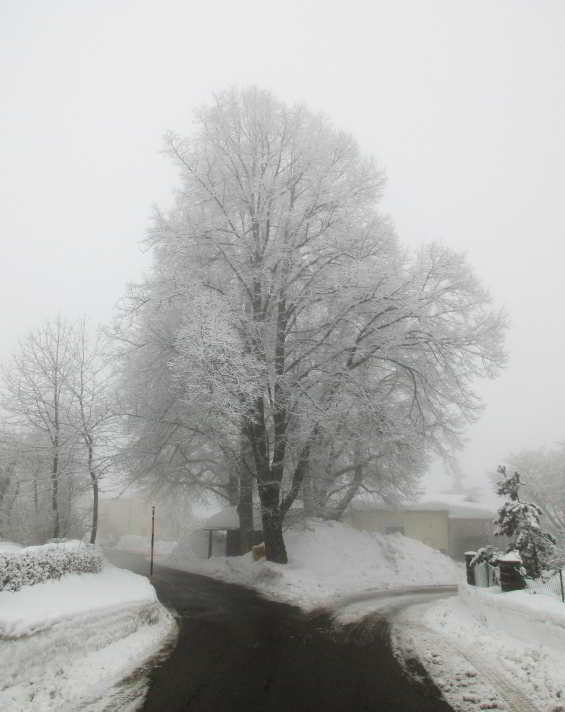 In Wegscheid gibt es immer wieder sehr schneereiche Winter, wie hier im Februar 2019