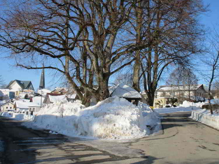 Die aufgetürmten Schneemassen, die Linden und Kapelle begraben, brauchen lange, bis sie abgetaut sind. Das Streusalz ist Gift für die Linden, das Eis für die Kohlbauerkapelle