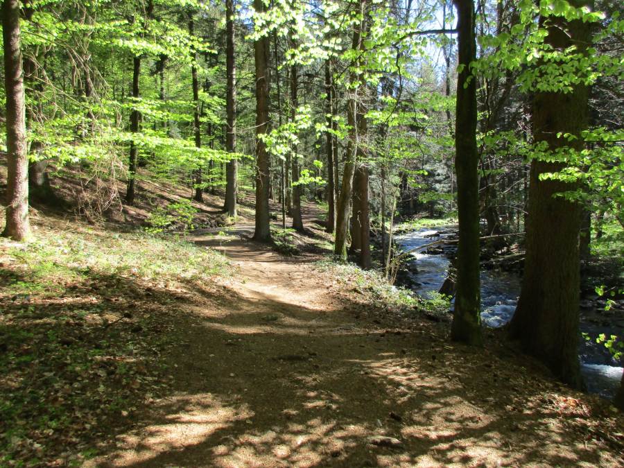 Der Rannasee bei Wegscheid verdankt sich Bürgermeister Otto Able
