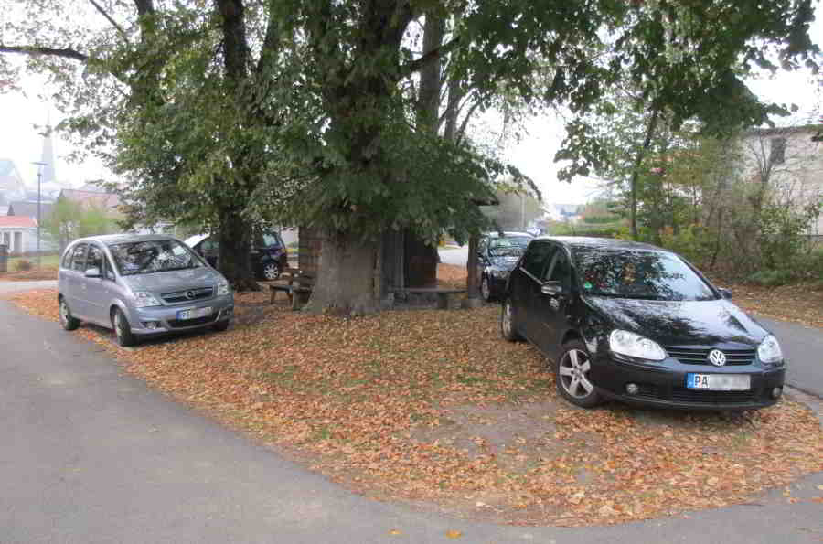 kohlbauerkapelle_garten_wildes-parken-181020-01